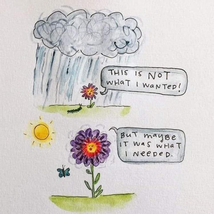 45676986_2041167755946840_5012437189045256192_n